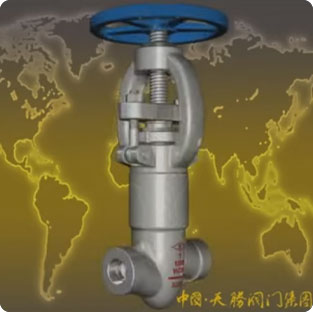 /Forged steel flange globe valve