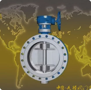 /Hard seal butterfly valve