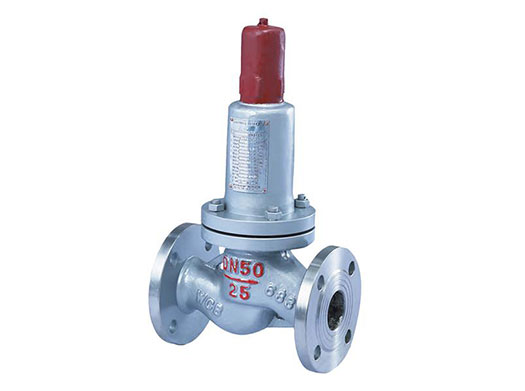 /Parallelled Back-flow Safety Valve