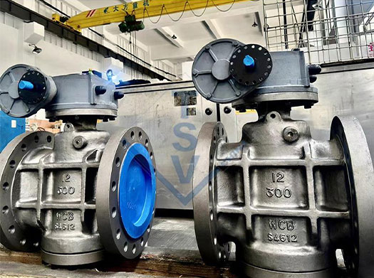 /Plug Valve