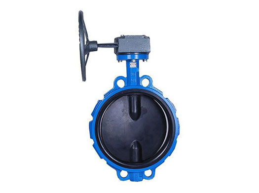 /Soft Seal Butterfly Valve