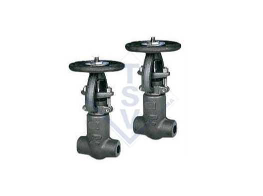 Pressure Seal High Pressure Forged Steel Gate Valve