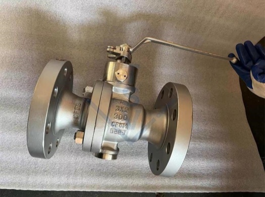 Cast Steel Floating Ball Valve